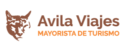 Avila Viajes